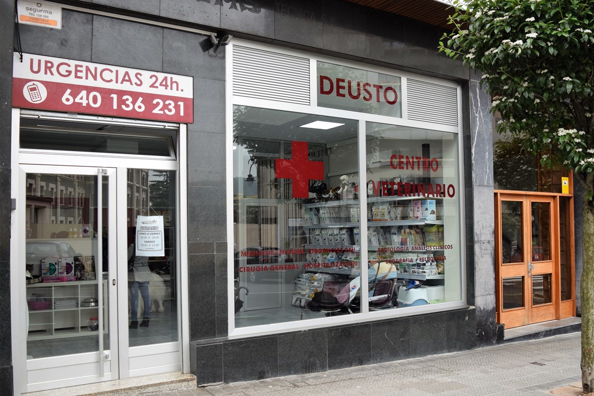 CENTRO VET DEUSTO (1)